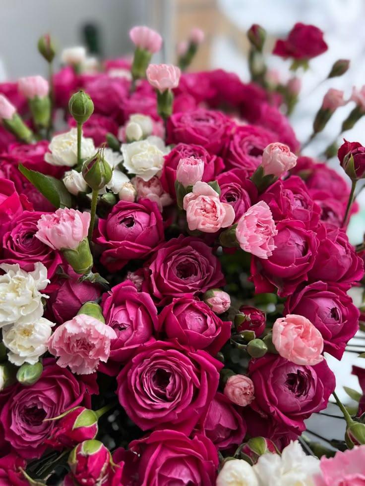 Stargazer's Delight Fragrant Medley